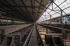 Voekling_06